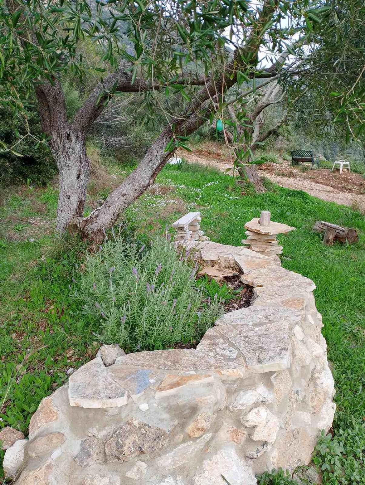 Terraoliva&Herbs Vátos Exteriér fotografie